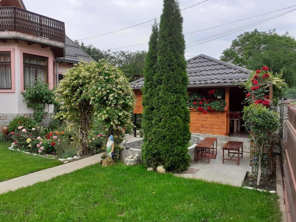 Casa Fetic Apartment Nehoiu Ngoại thất bức ảnh