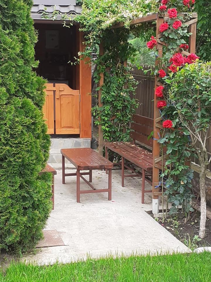 Casa Fetic Apartment Nehoiu Ngoại thất bức ảnh