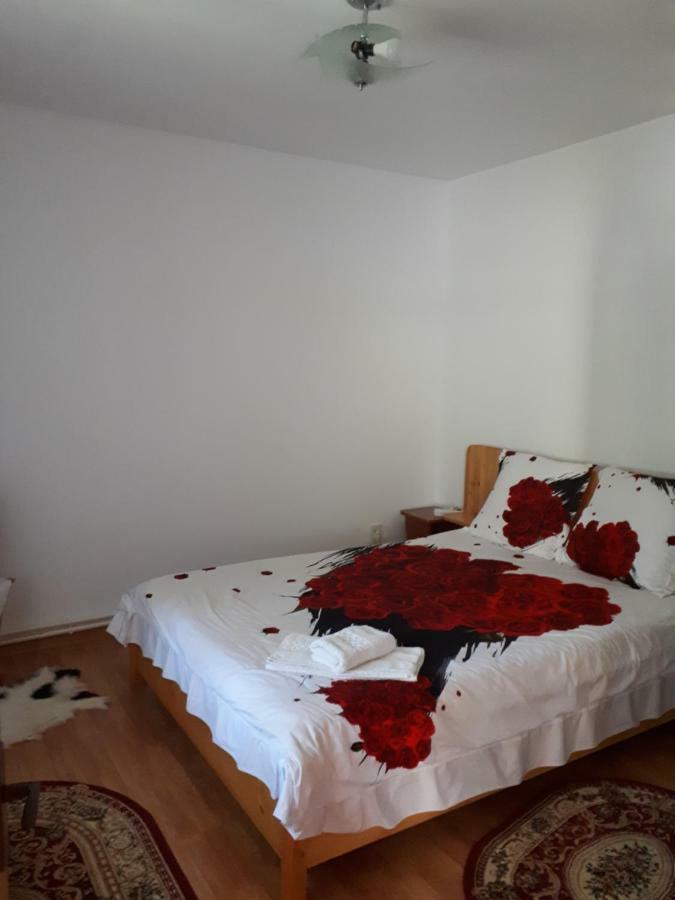 Casa Fetic Apartment Nehoiu Ngoại thất bức ảnh