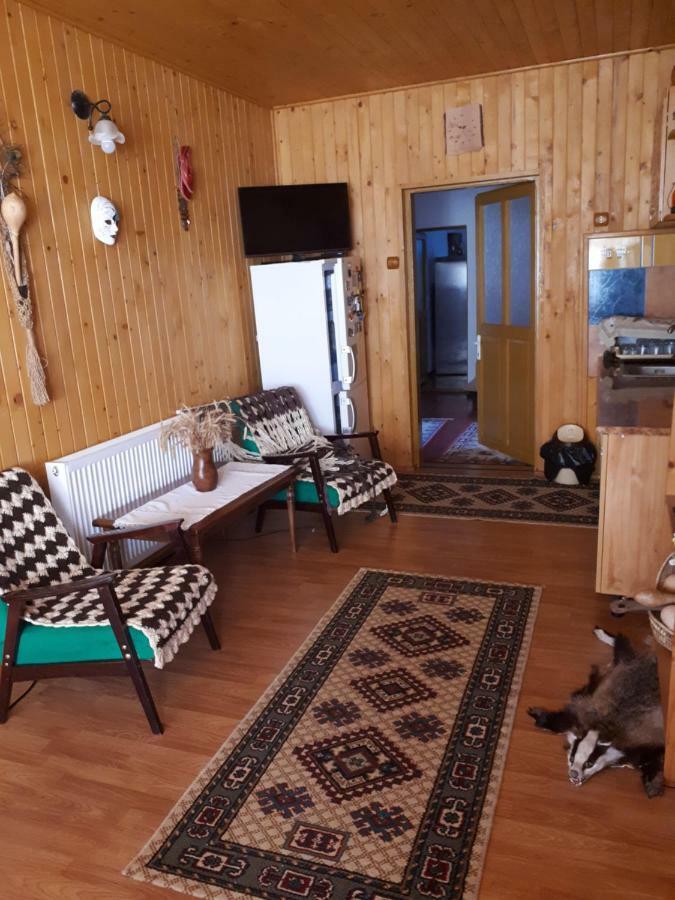 Casa Fetic Apartment Nehoiu Ngoại thất bức ảnh