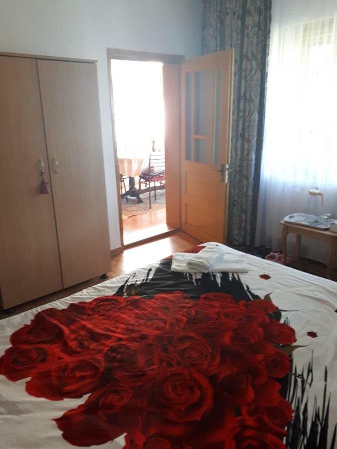 Casa Fetic Apartment Nehoiu Ngoại thất bức ảnh