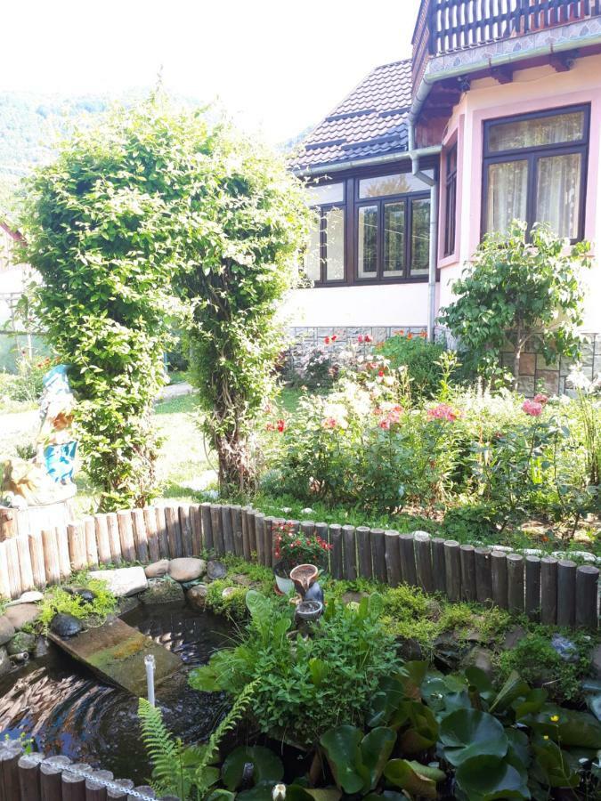 Casa Fetic Apartment Nehoiu Ngoại thất bức ảnh