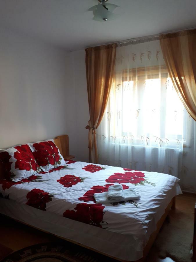 Casa Fetic Apartment Nehoiu Ngoại thất bức ảnh